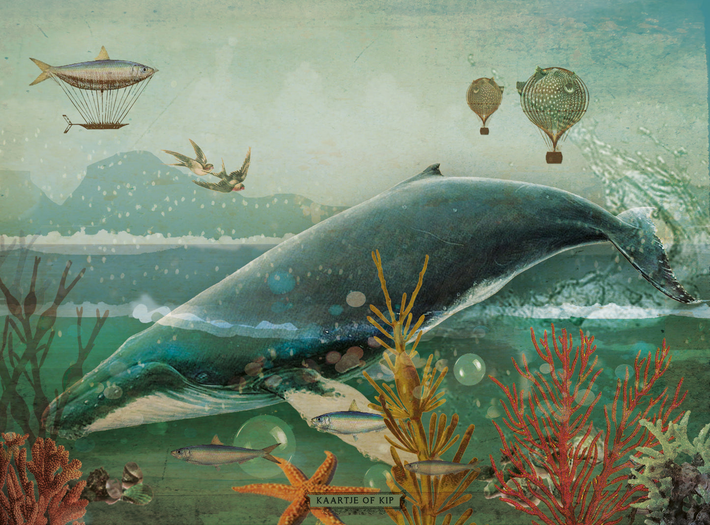 Poster Whale