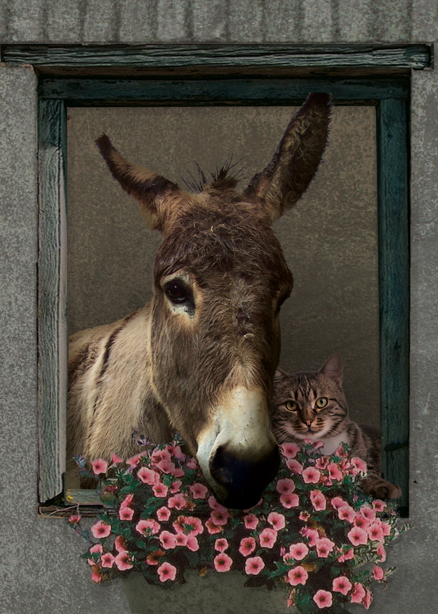 Poster Donkey on PVC