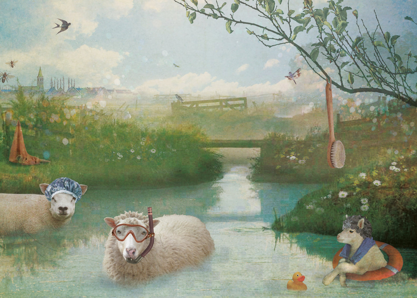 Garden Poster Sheep