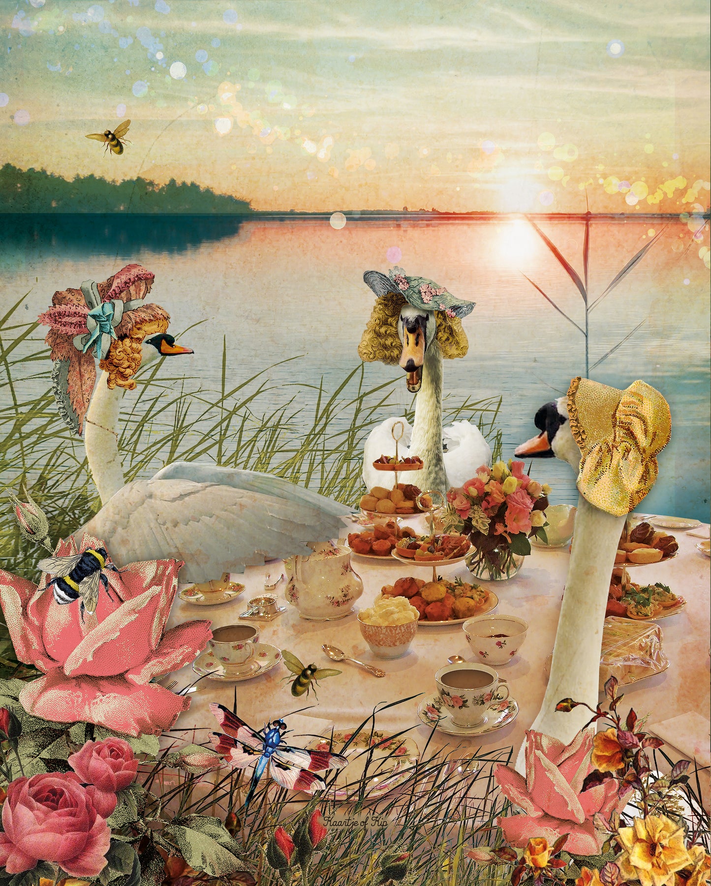 Garden Poster Swans