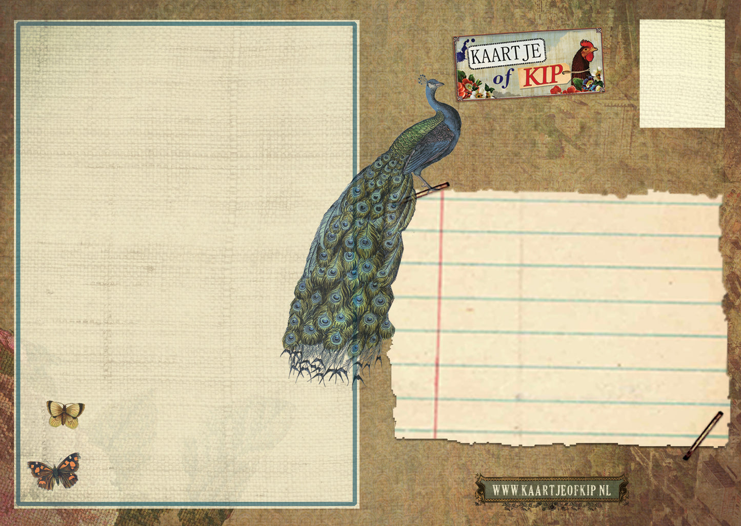 Postcard Bird Flight