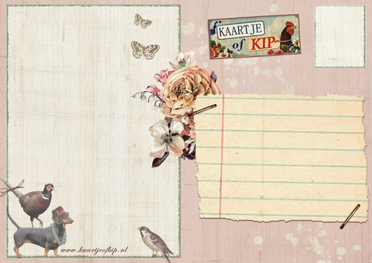 Ansichtkaart Wondere Wereld