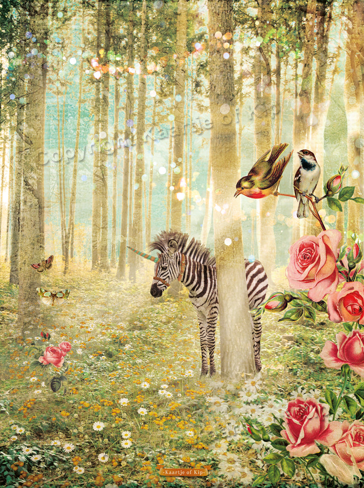 Zebra in 't Bos