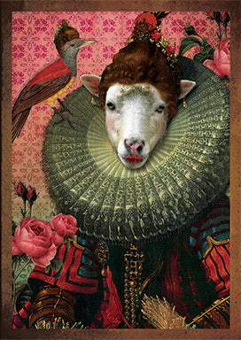 Kadokaartje Kraagschaap