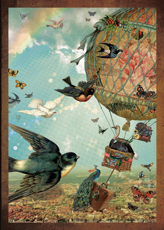 Kadokaartje Vogelvlucht