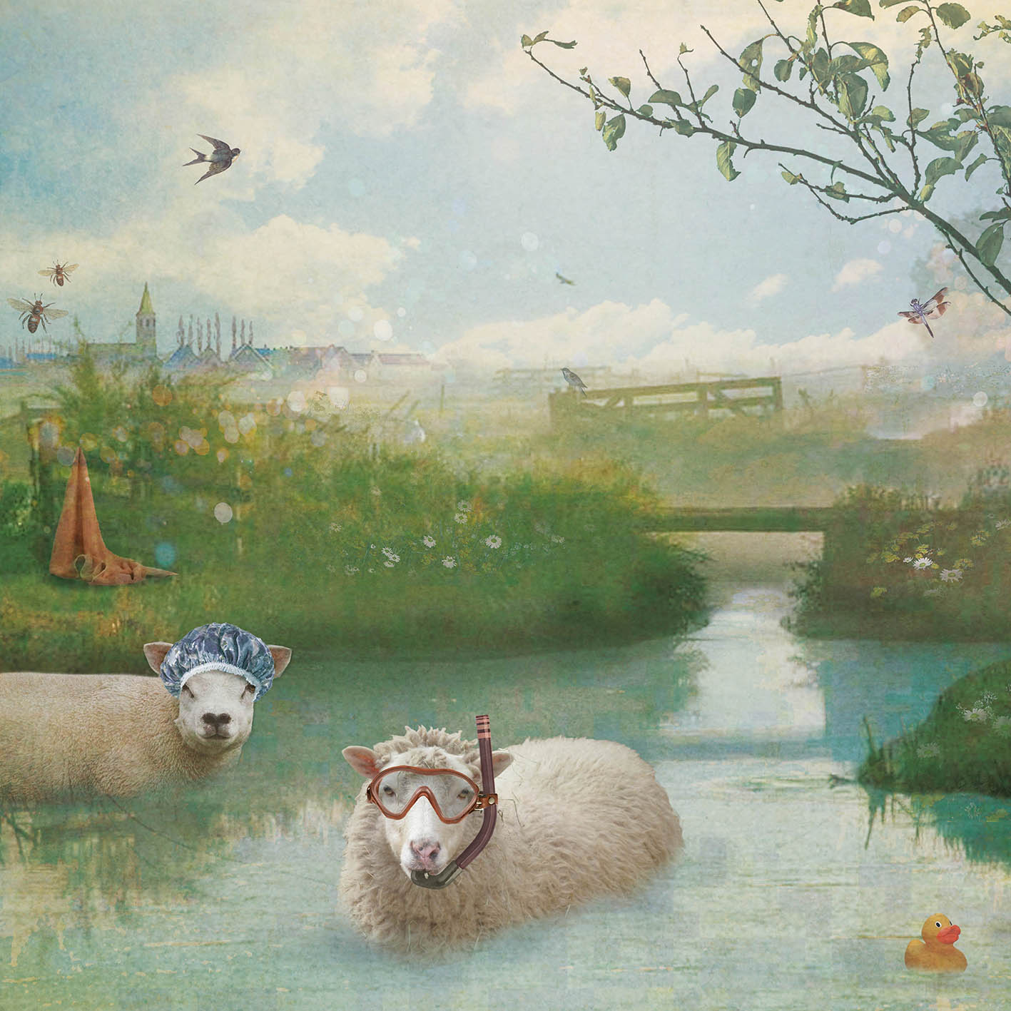 Schuttingzeil 2 Schaapjes