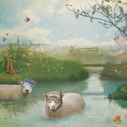 Schuttingzeil 2 Schaapjes