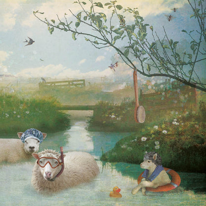 Schuttingzeil 3 Schaapjes