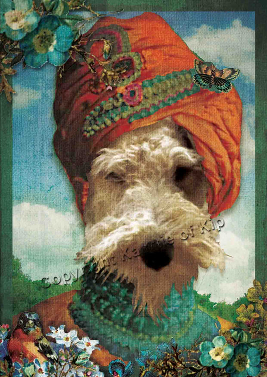 Luxe wenskaart Bobby Sultan