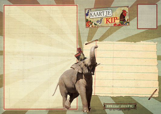 Ansichtkaart Circus Zebra