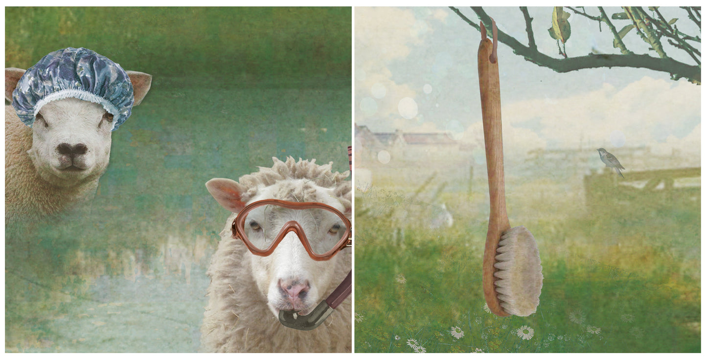 Behang Schapen <190 cm breed>