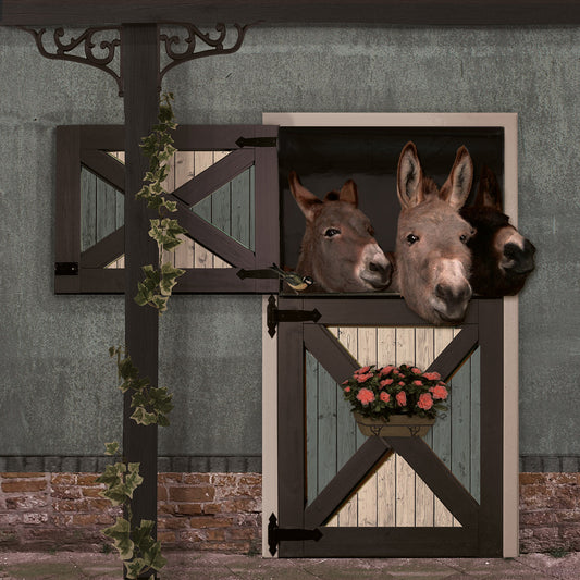 Schuttingzeil Ezels 'Blauw'