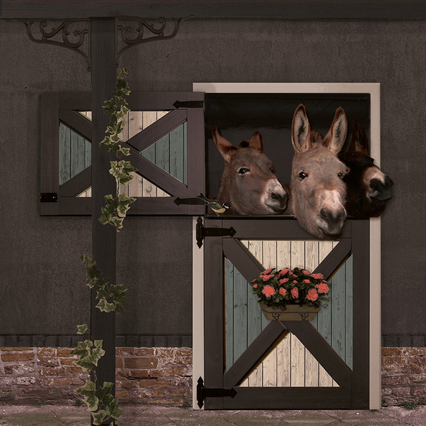 Schuttingzeil Ezels 'Antraciet'