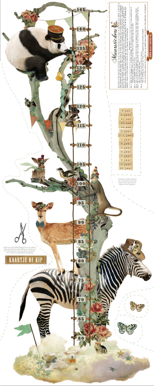 Muursticker Groeiladder