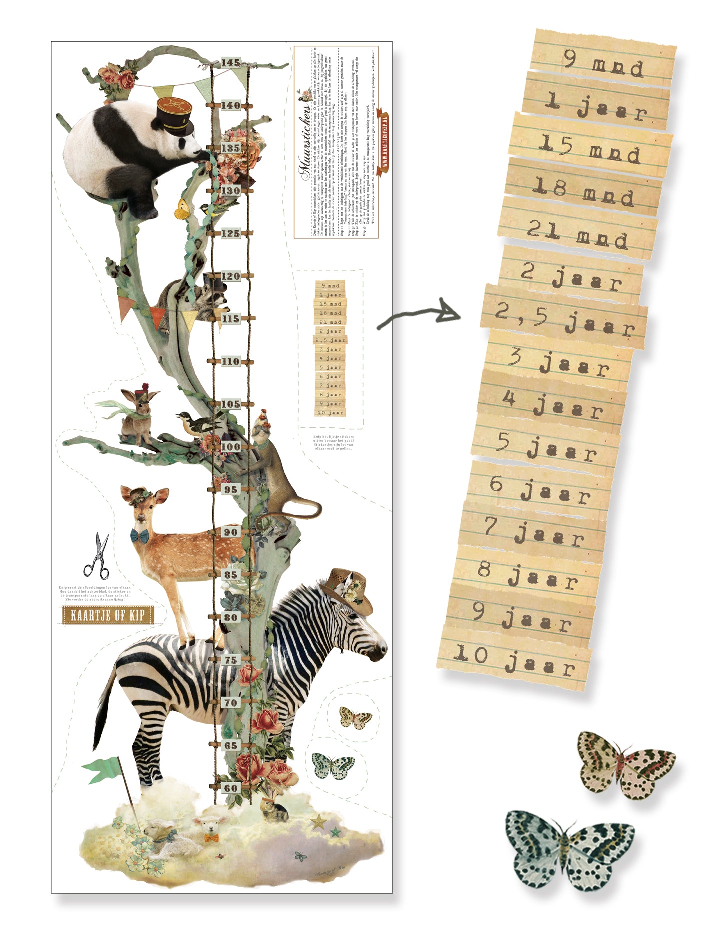 Muursticker Groeiladder