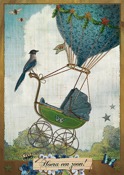 Ansichtkaart Hoera een Zoon!