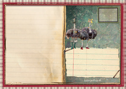 Nieuwjaars Postkaart 'Struisvogels'