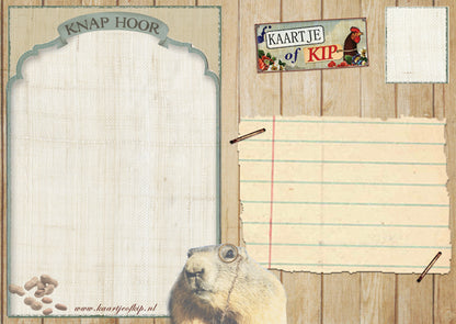 Ansichtkaart Knap Hoor