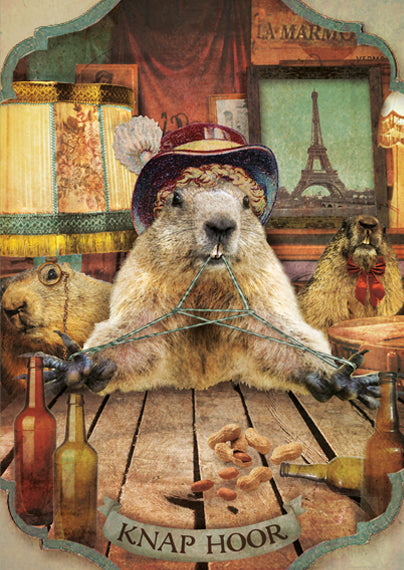 Ansichtkaart Knap Hoor