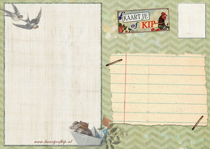 Ansichtkaart Koala's