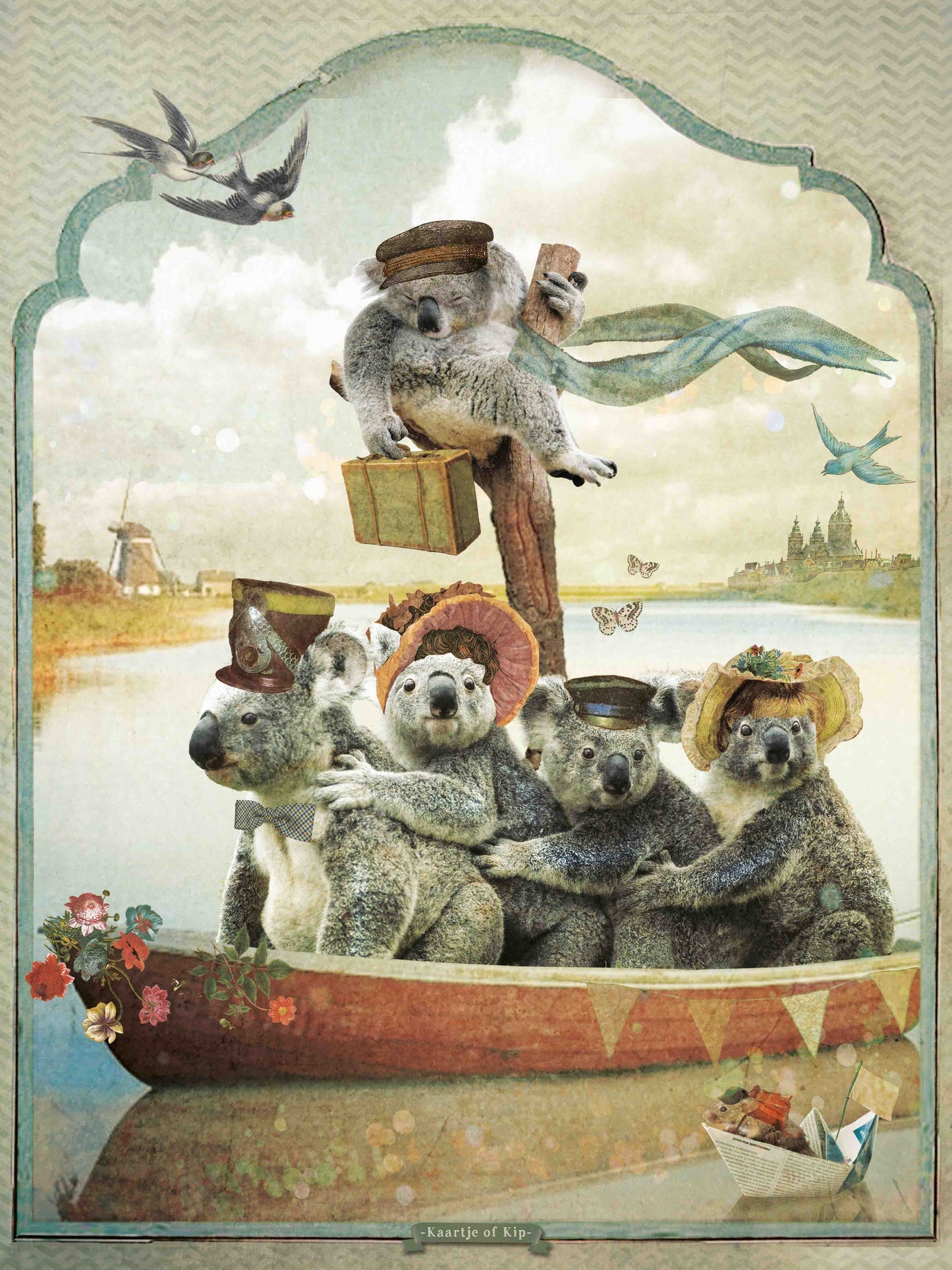 Poster Koala's