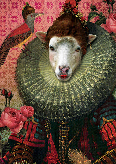 Ansichtkaart Kraagschaap