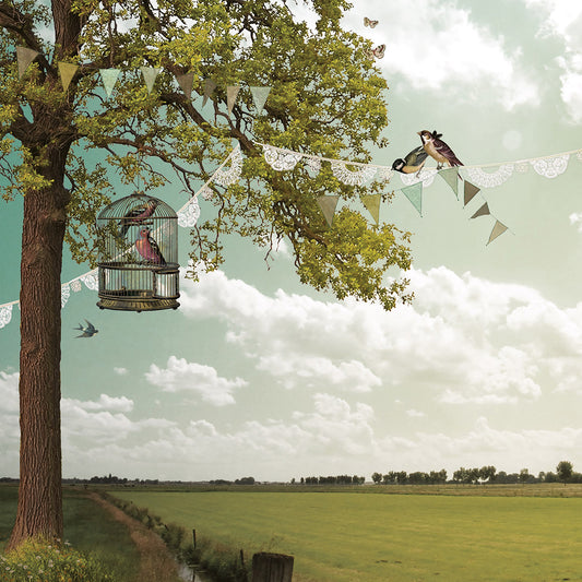 Schuttingzeil Lentedag