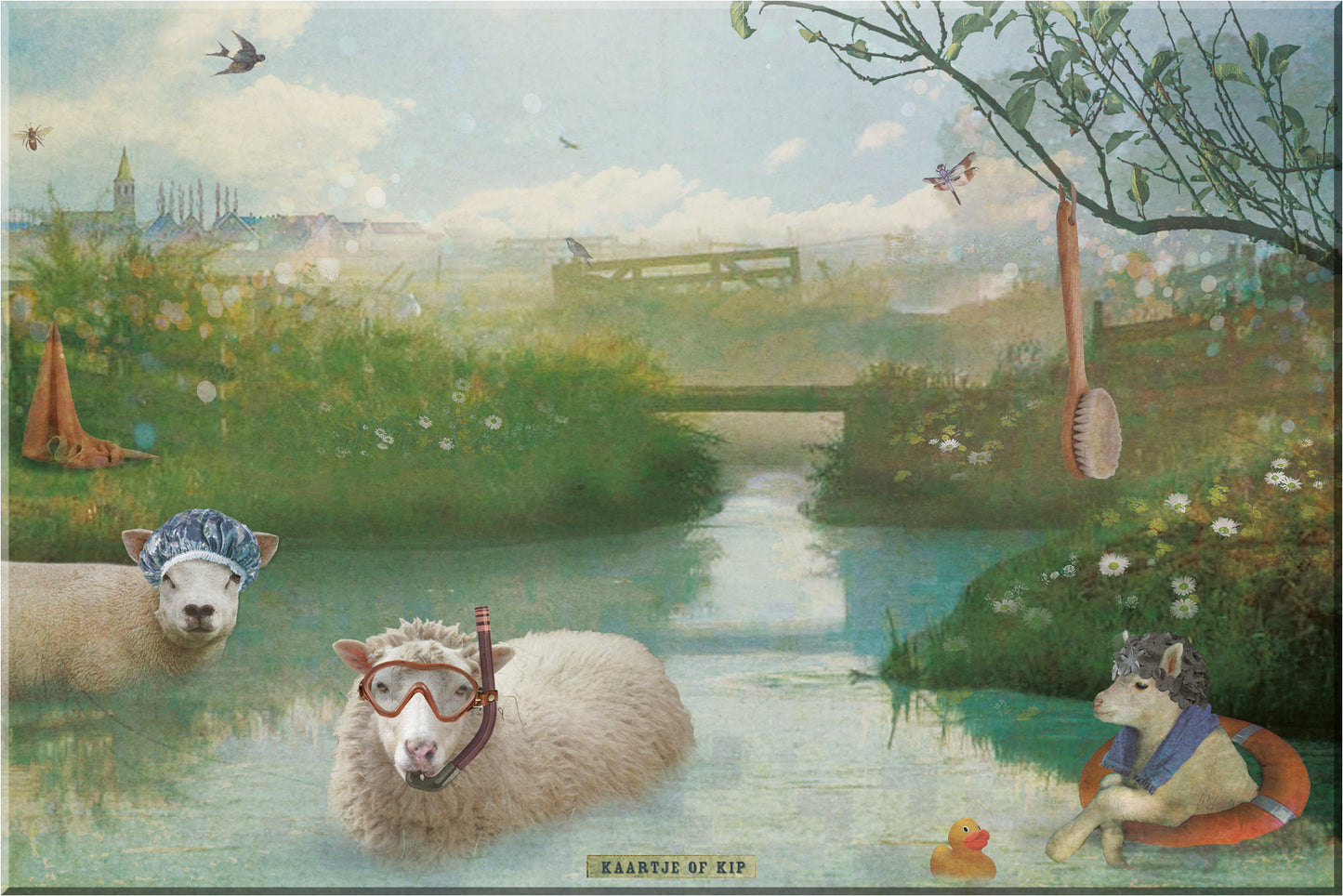 Magneet 10x15 cm "Schapen"