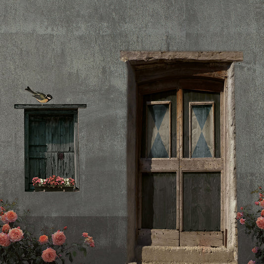 Schuttingzeil Oude Deur 'Blauw'