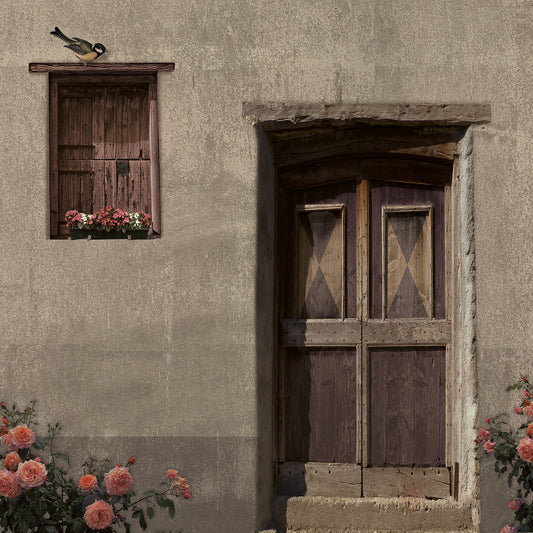 Schuttingzeil Oude Deur 'Grijs'