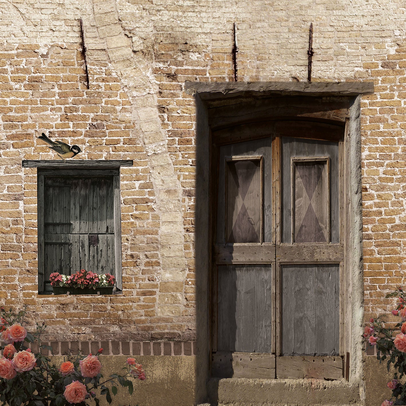 Schuttingzeil Oude Deur 'lichte Baksteen'