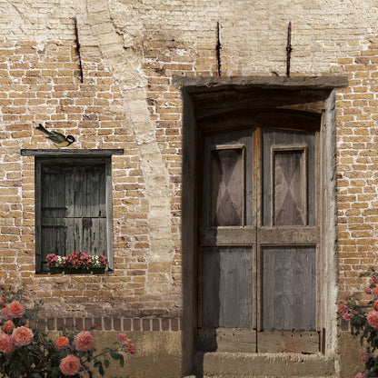 Schuttingzeil Oude Deur 'lichte Baksteen'