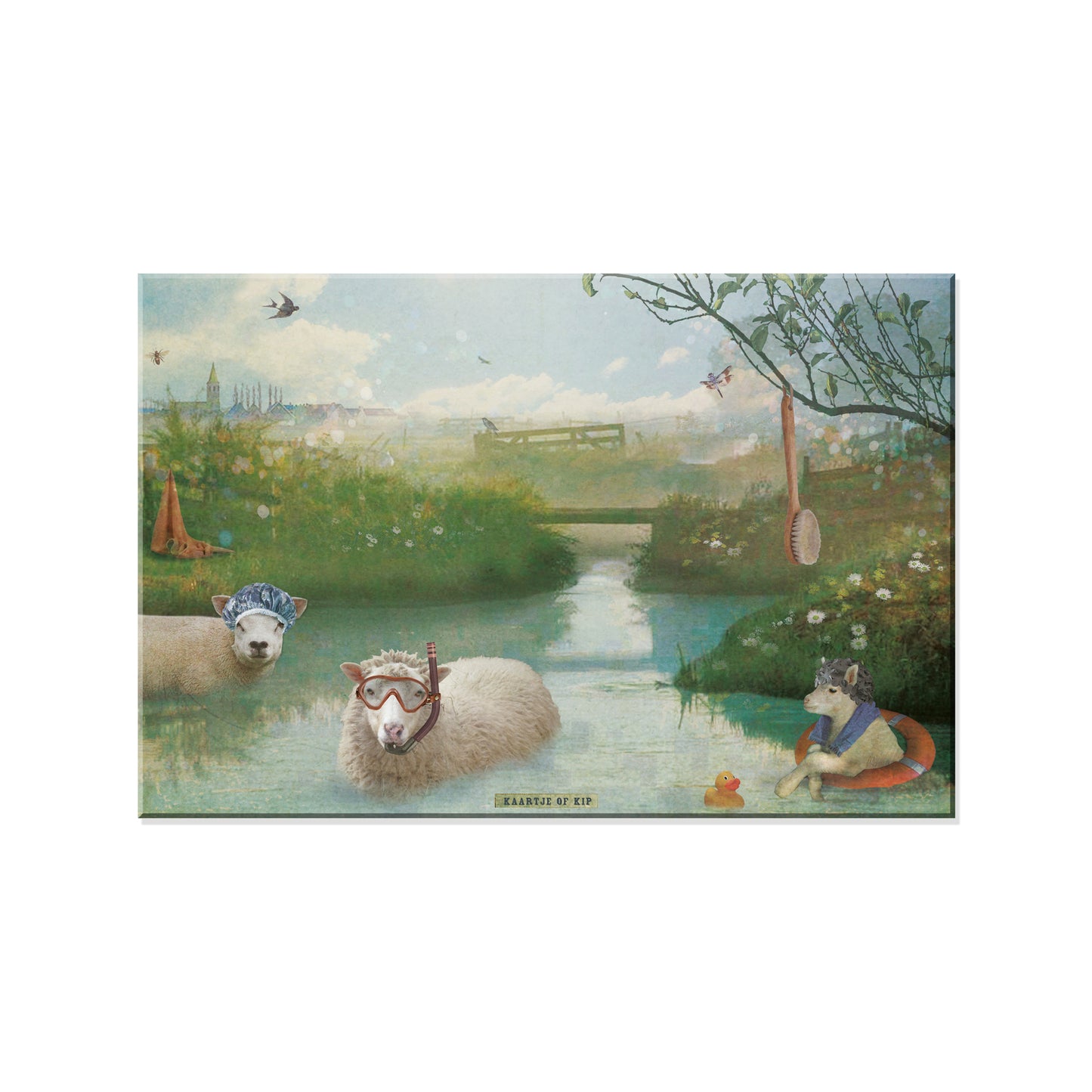 Magneet 10x15 cm "Schapen"