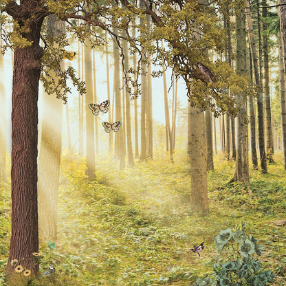 Schuttingzeil Sprookjesbos