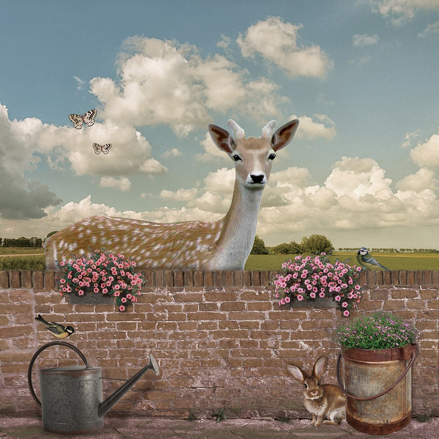 Schuttingzeil Uitzicht op Hert