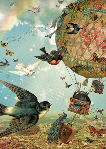 Luxe wenskaart Vogelvlucht