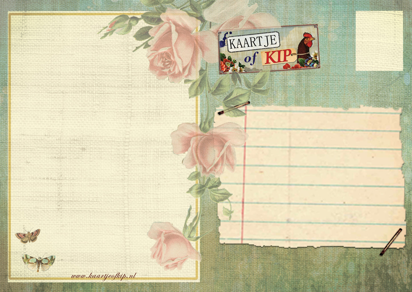 Ansichtkaart Zebra in 't Bos