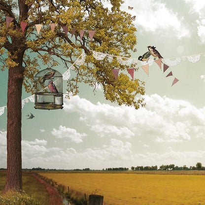 Schuttingzeil Zomerdag