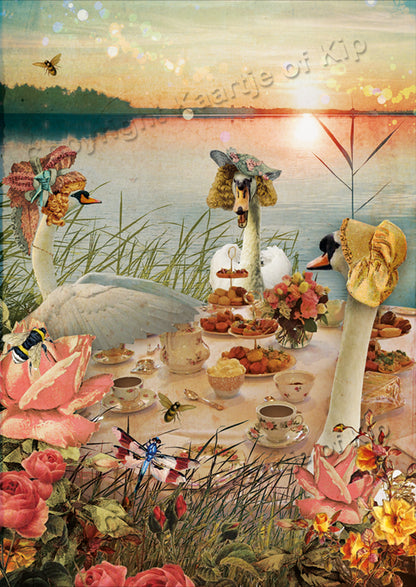 Luxe wenskaart Zwanen